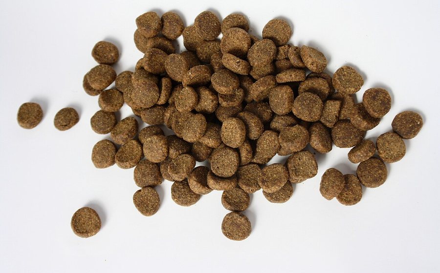 Dry dog food nuggets (representative photo)